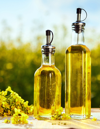 canola-oil2
